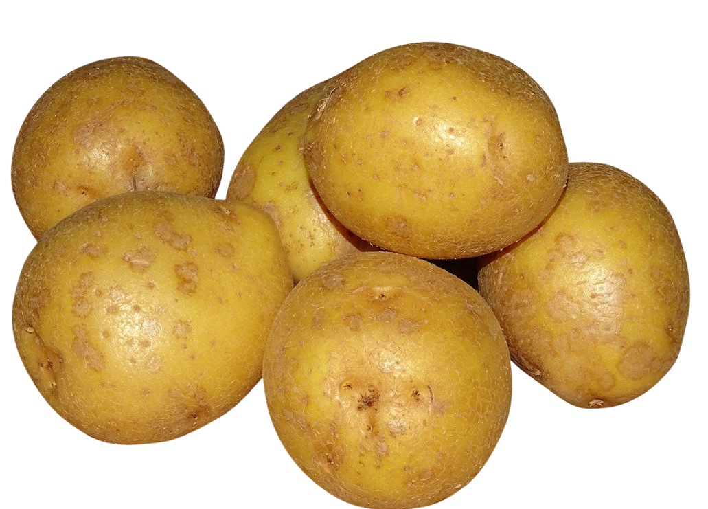Potatoes images, Potatoes png, Potatoes png image, Potatoes transparent png image, Potatoes png full hd images download